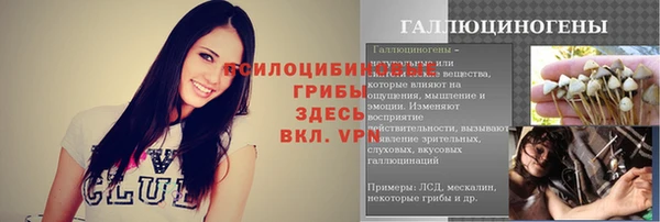 круглые Карпинск