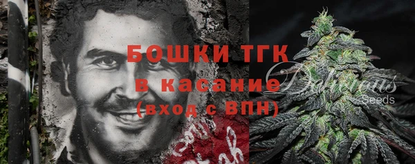 круглые Карпинск